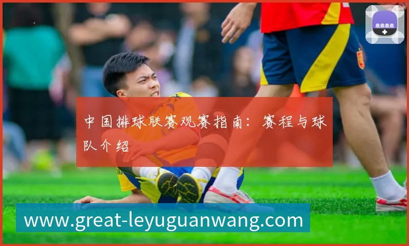中国排球联赛观赛指南:赛程与球队介绍